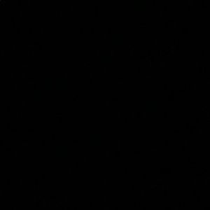 Meet your Posher, Jackson